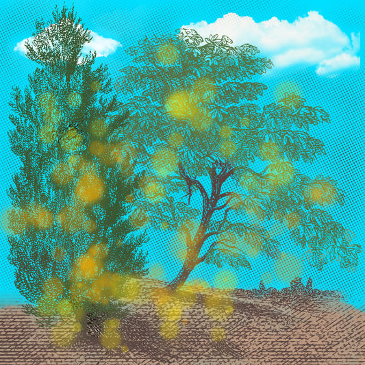 Paradies