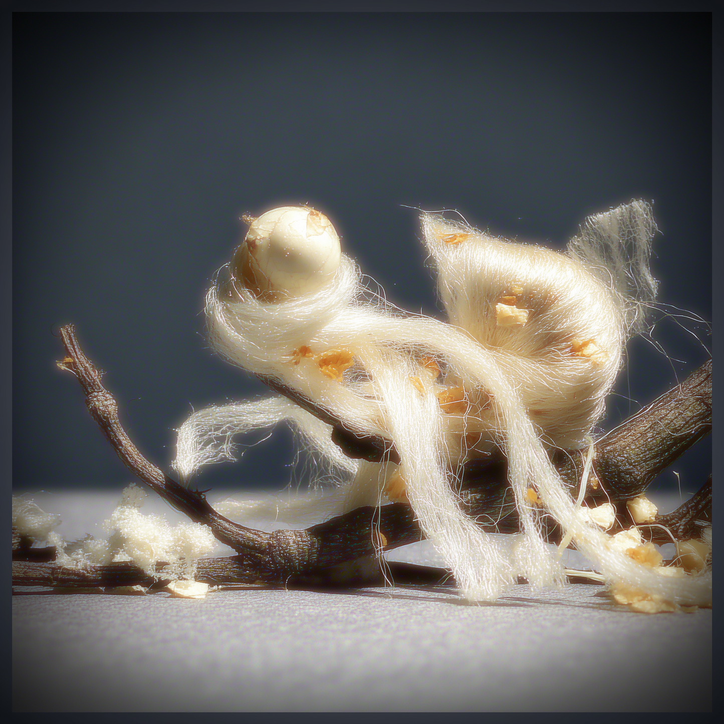 Seidenfaden der Schöpfung - Serin