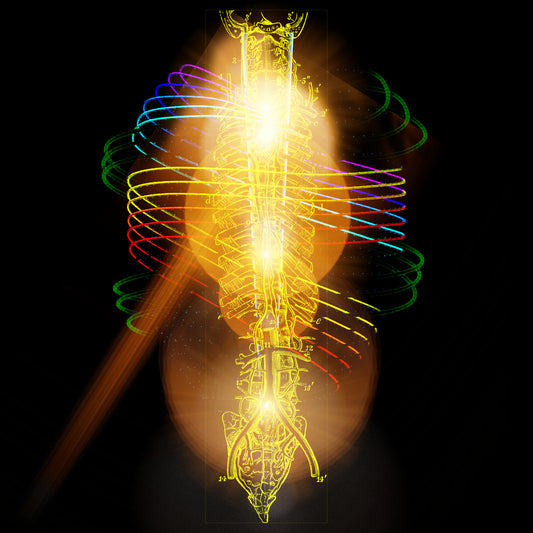 Reißwolf (Shredder)